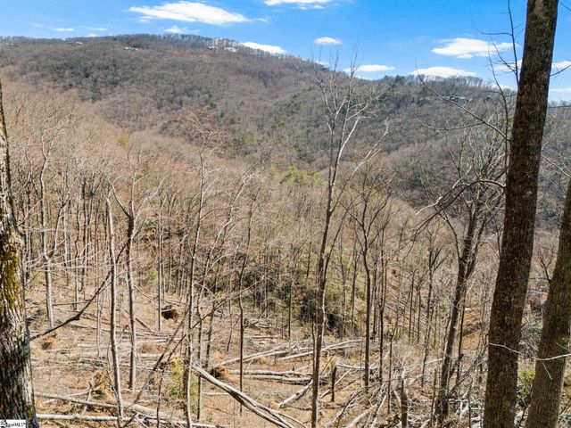 1328 Panther Park Trail, Travelers Rest, SC 29690