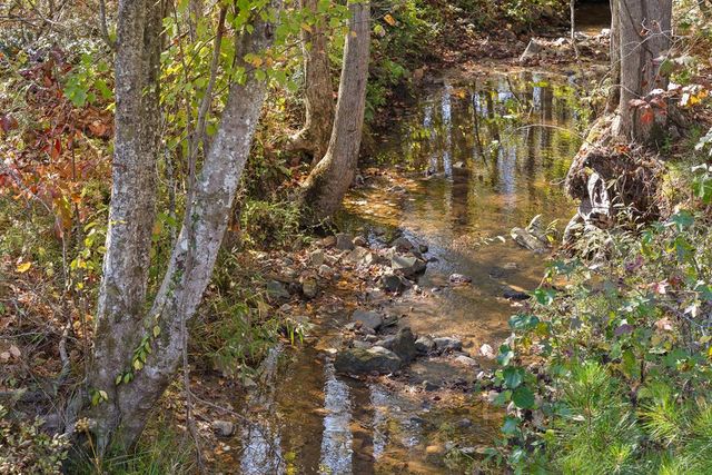 Lot 334 Twisted Oak Road, Talking Rock, GA 30175