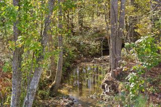 Lot 334 Twisted Oak Road, Talking Rock, GA 30175