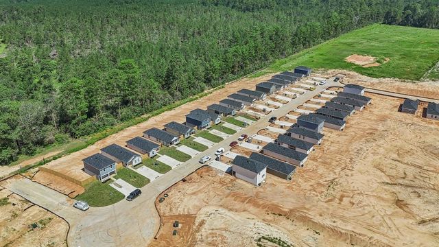 14578 William Trails Drive, Willis, TX 77378