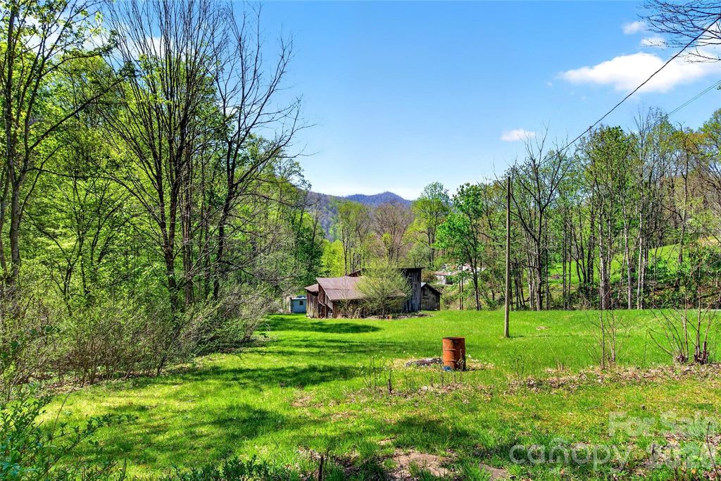 488 Cad Campbell Road, Bakersville, NC 28705