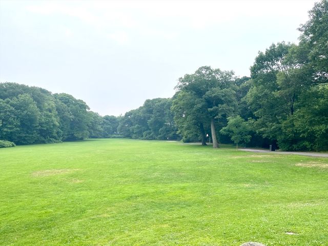 315 Langley Rd. A, Newton, MA 02459