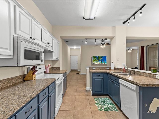 5041 SUNRIDGE PALMS DRIVE 103, Tampa, FL 33617