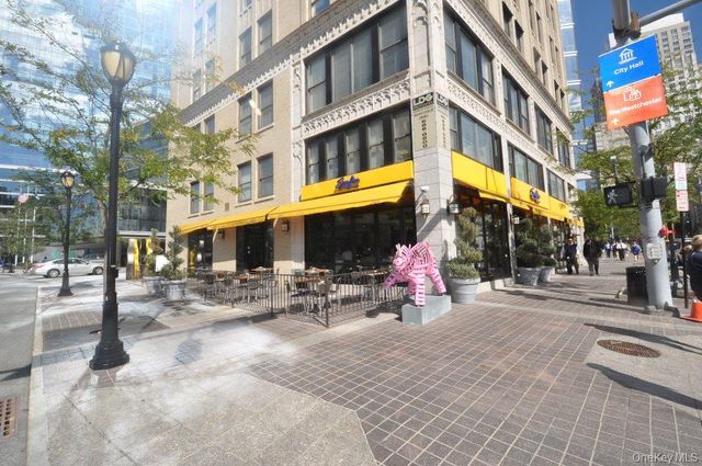 10 Old Mamaroneck Road 2A, White Plains, NY 10605