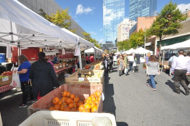 10 Old Mamaroneck Road 2A, White Plains, NY 10605