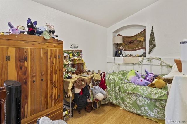 607 Branding Iron Lane, Castle Rock, CO 80104