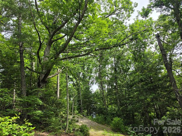 9999 Fairview Forest Drive, Fairview, NC 28730