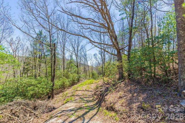 9999 Fairview Forest Drive, Fairview, NC 28730
