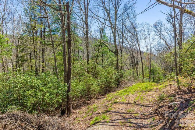 9999 Fairview Forest Drive, Fairview, NC 28730