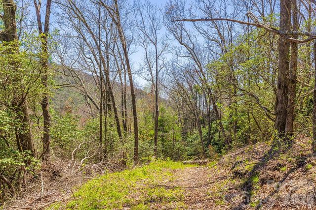 9999 Fairview Forest Drive, Fairview, NC 28730