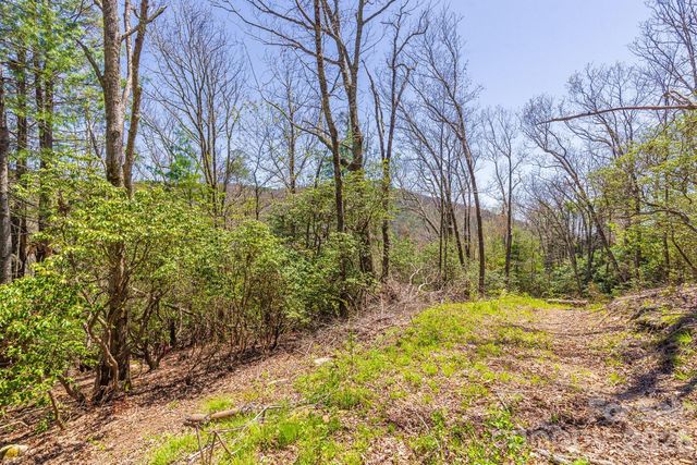 9999 Fairview Forest Drive, Fairview, NC 28730
