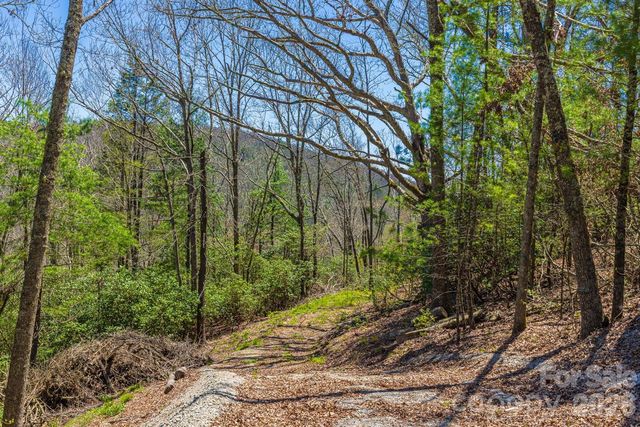 9999 Fairview Forest Drive, Fairview, NC 28730