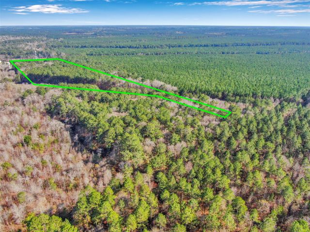 0 Pelican Road, Shepherd, TX 77371