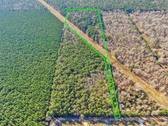 0 Pelican Road, Shepherd, TX 77371