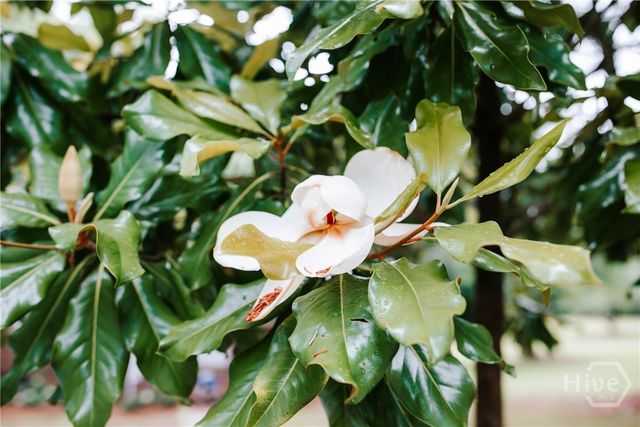 764 Sandy Cross Road, Lexington, GA 30648