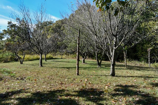 8131 State Hwy W, Ozark, MO 65721