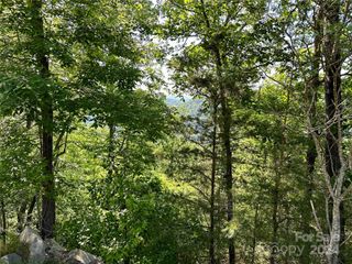 387 Wild River Run 6, Marshall, NC 28753