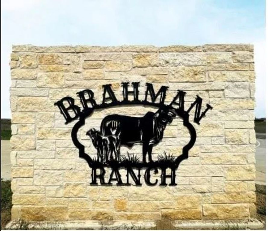 10409 Livestock Avenue, Venus, TX 76084