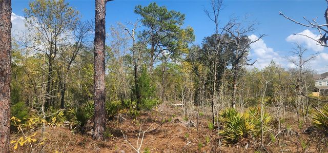 18043 RAMSEY ROAD, Weeki Wachee, FL 34614
