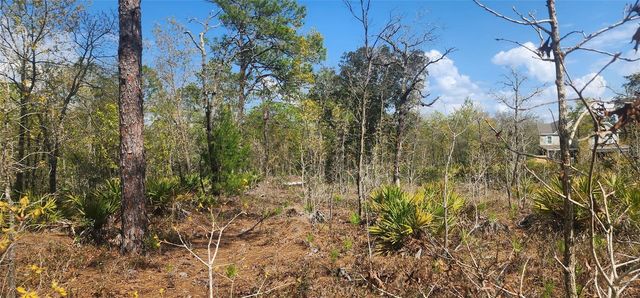 18043 RAMSEY ROAD, Weeki Wachee, FL 34614