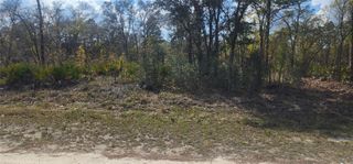 18043 RAMSEY ROAD, Weeki Wachee, FL 34614