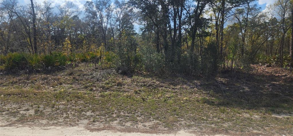 18043 RAMSEY ROAD, Weeki Wachee, FL 34614