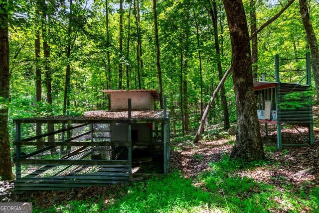 317 North Pine Road, Ellijay, GA 30536