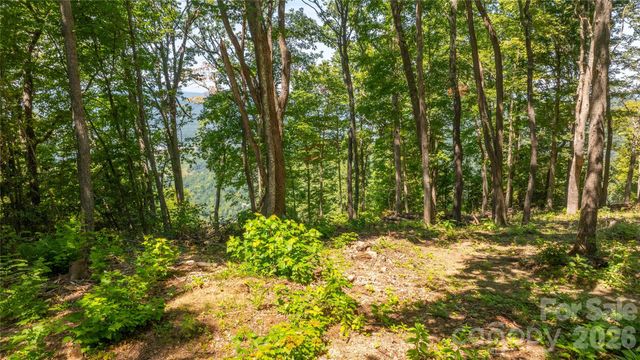 19 Estate Drive 40, Waynesville, NC 28786