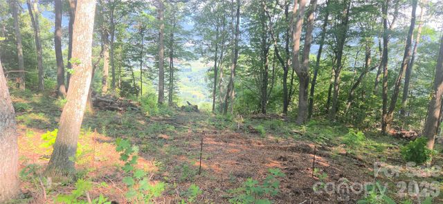 19 Estate Drive 40, Waynesville, NC 28786