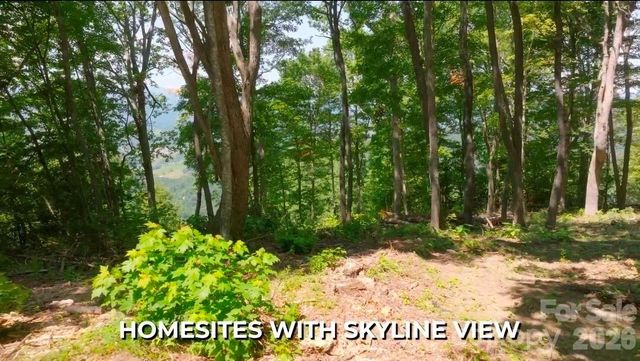 19 Estate Drive 40, Waynesville, NC 28786