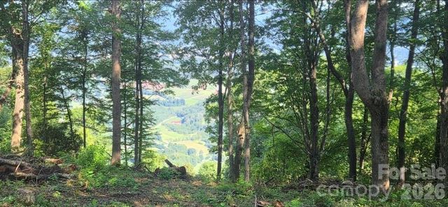19 Estate Drive 40, Waynesville, NC 28786
