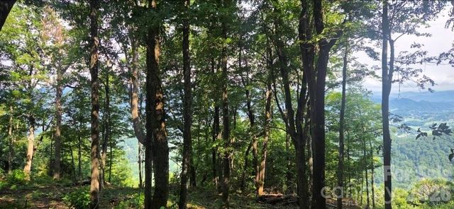 19 Estate Drive 40, Waynesville, NC 28786