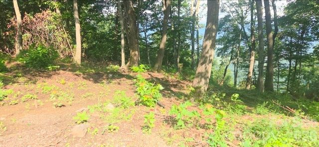 19 Estate Drive 40, Waynesville, NC 28786