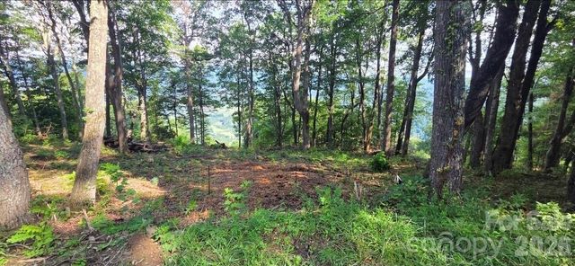 19 Estate Drive 40, Waynesville, NC 28786
