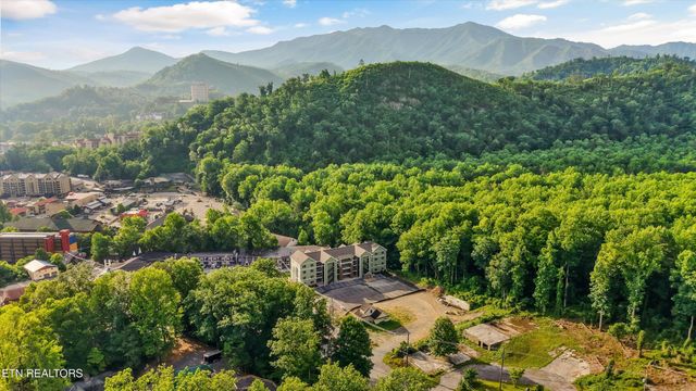 329 Ownby St Unit 1406, Gatlinburg, TN 37738