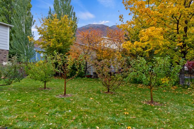 7931 S NORWOOD RD, Cottonwood Heights, UT 84121