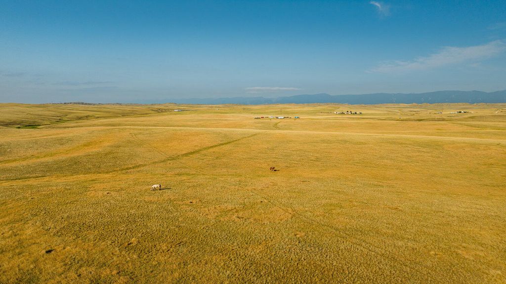 32 Wallows Creek Road Parcel 1, Buffalo, WY 82834 photo 5