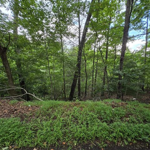 lot 71 Necowa Cove Overlook, Blue Ridge, GA 30513