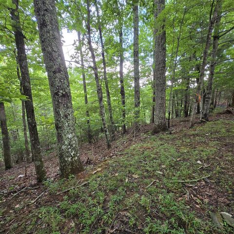 lot 71 Necowa Cove Overlook, Blue Ridge, GA 30513
