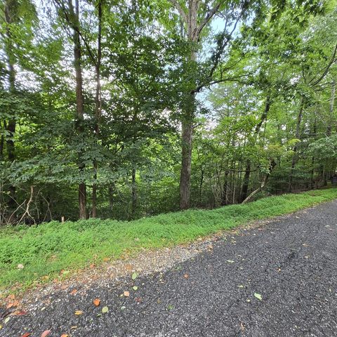 lot 71 Necowa Cove Overlook, Blue Ridge, GA 30513