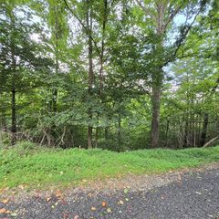 lot 71 Necowa Cove Overlook, Blue Ridge, GA 30513