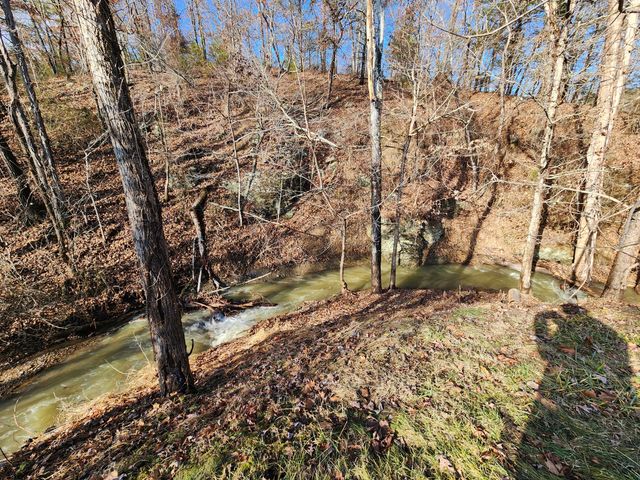 3909 Longdale Furnance RD, Clifton Forge, VA 24422