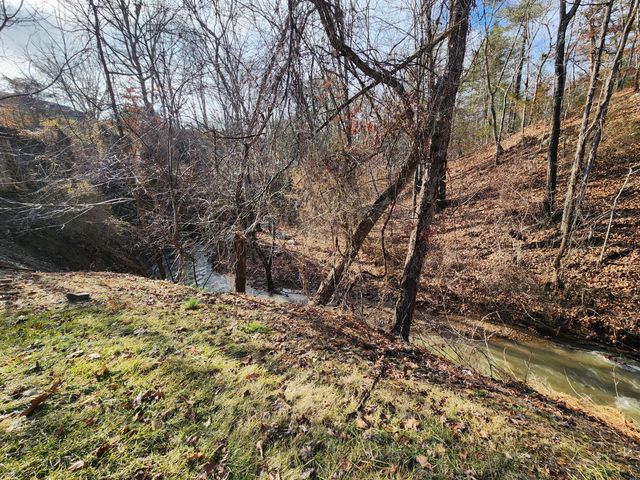 3909 Longdale Furnance RD, Clifton Forge, VA 24422