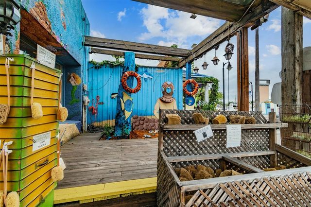 305 GRAND BOULEVARD, Tarpon Springs, FL 34689