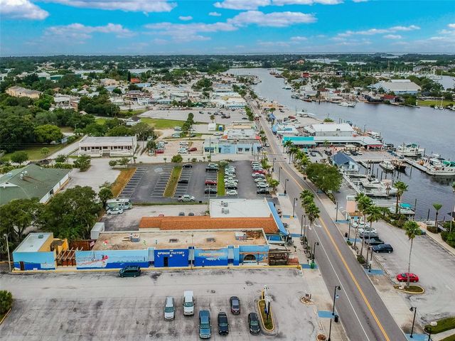 305 GRAND BOULEVARD, Tarpon Springs, FL 34689