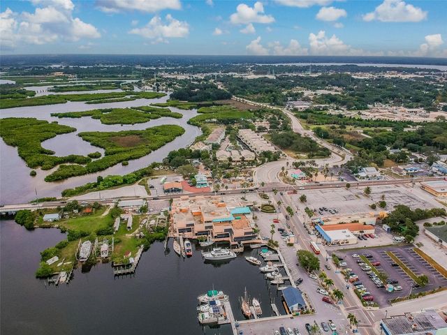 305 GRAND BOULEVARD, Tarpon Springs, FL 34689