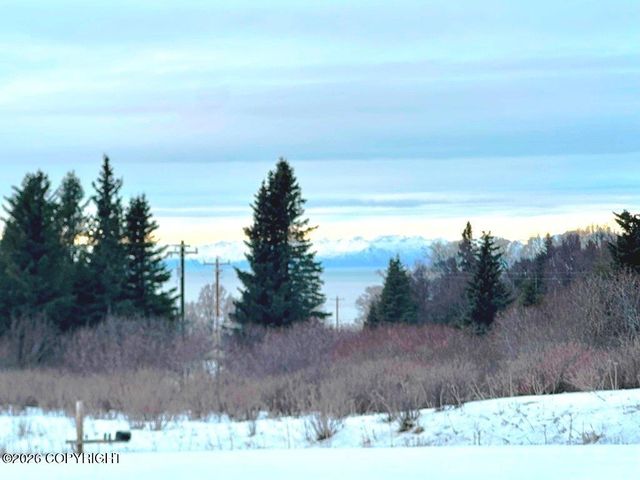 13220 Sterling Highway, Ninilchik, AK 99639