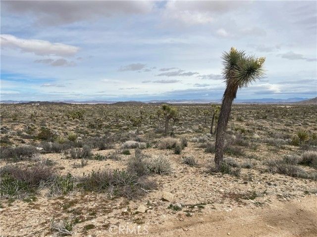 57300 Sunway, Yucca Valley, CA 92284