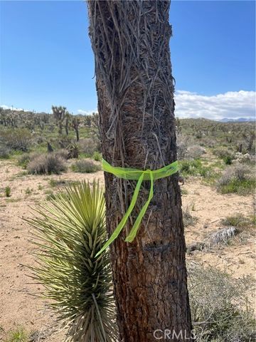 57300 Sunway, Yucca Valley, CA 92284