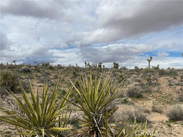 57300 Sunway, Yucca Valley, CA 92284